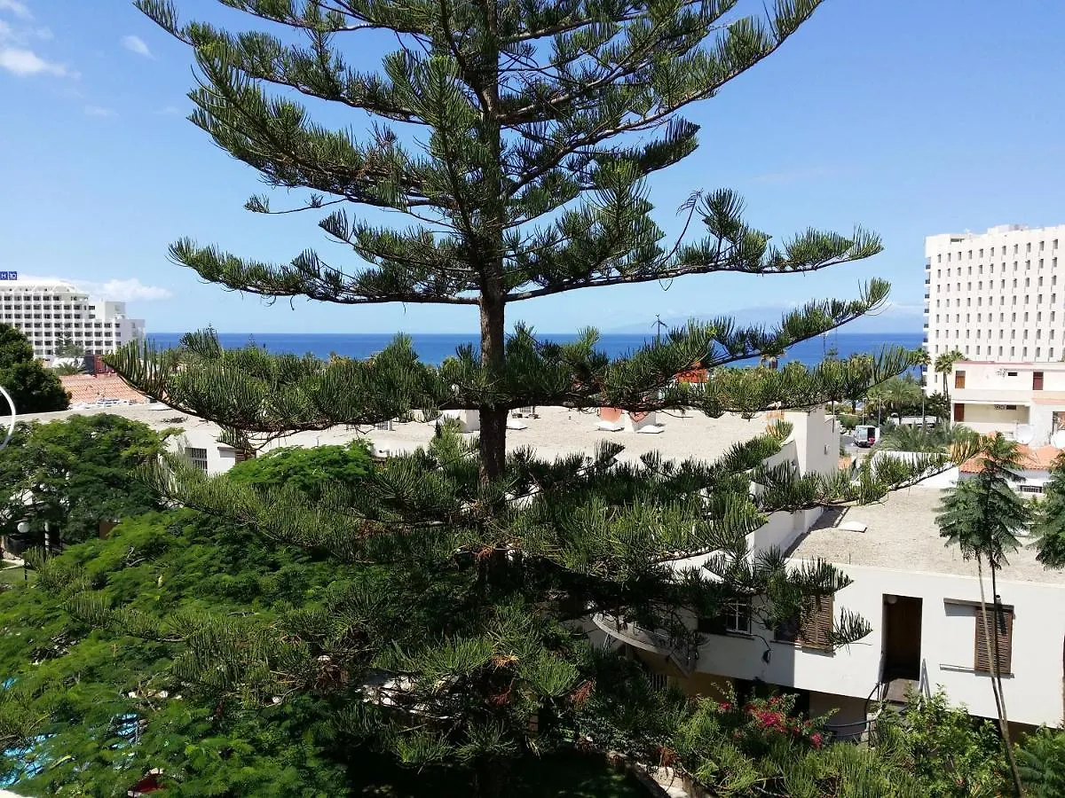 Apartment Jacaranda Close To The Beach, Sea-View, Pool, Wifi, Sat-Tv Arona  0*, Arona (Tenerife) Spain